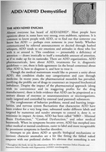 ADD: The 20-Hour Solution - Page 1