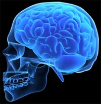 Introduction to Neurofeedback