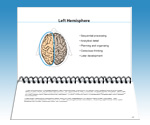 Sue Othmer's Protocol Guide