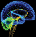 EEG Biofeedback Training Materials