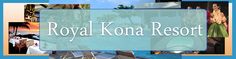 Clinical Summit - Hawaii - February 5-8, 2009