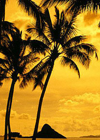 Clinical Summit - Hawaii - February 5-8, 2009