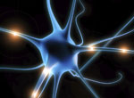adhd_neuron