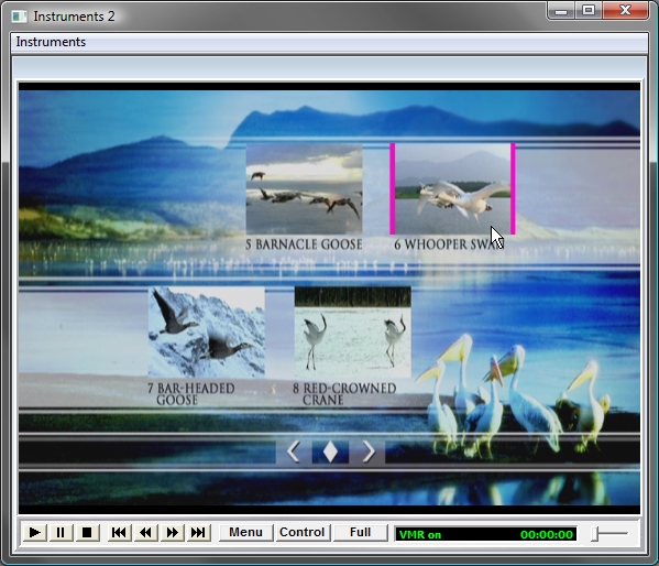 BioExplorer - DVD Playback Scene Selection