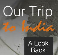 Our Trip to India: A Look Back