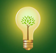 Go Green Light Bulb