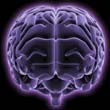 City Neurotherapist Treats ADHD, more