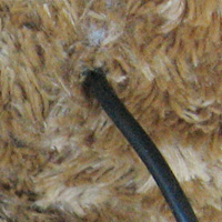 Neury the Bear - Cable 