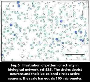 biological_network