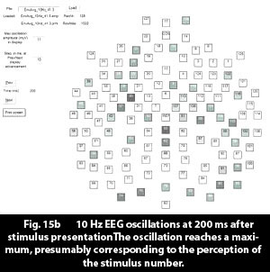 oscillations_200ms