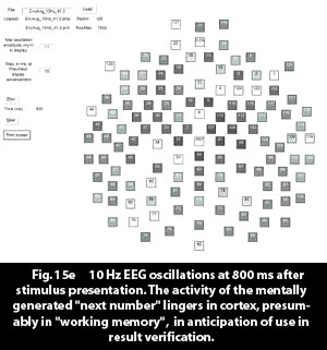 oscillations_800ms