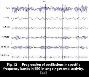 progression_oscillations