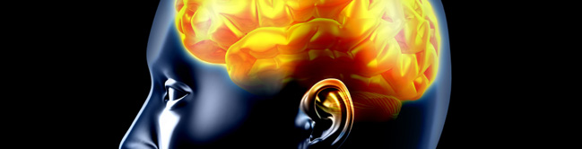 quantitative_eeg_neurofeedback