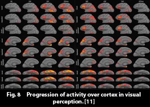 visual_perception